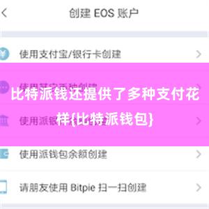 比特派钱还提供了多种支付花样{比特派钱包}